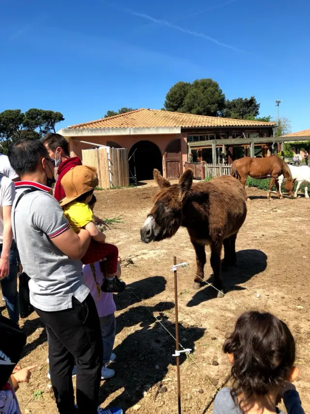Ferme du Roy d'Espagne